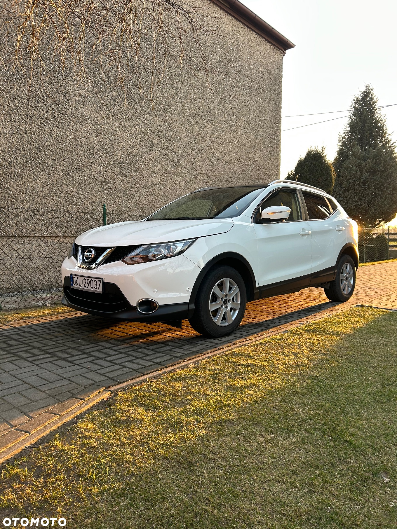 Nissan Qashqai 1.6 DCi 4x4 Tekna - 3