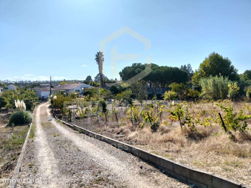 Quintinha com Moradia com 4.500 m2 Terreno Urbano - Grande imagem: 4/33