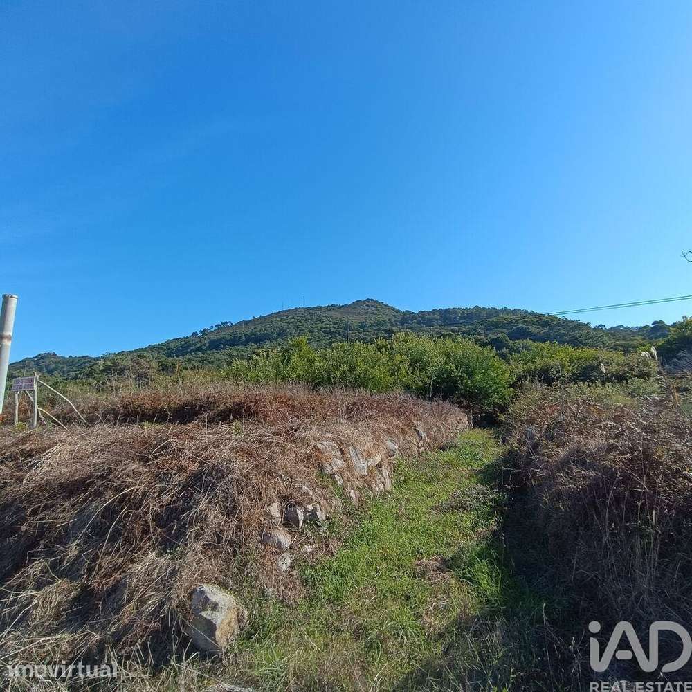Terreno em Moledo e Cristelo - Grande imagem: 5/17
