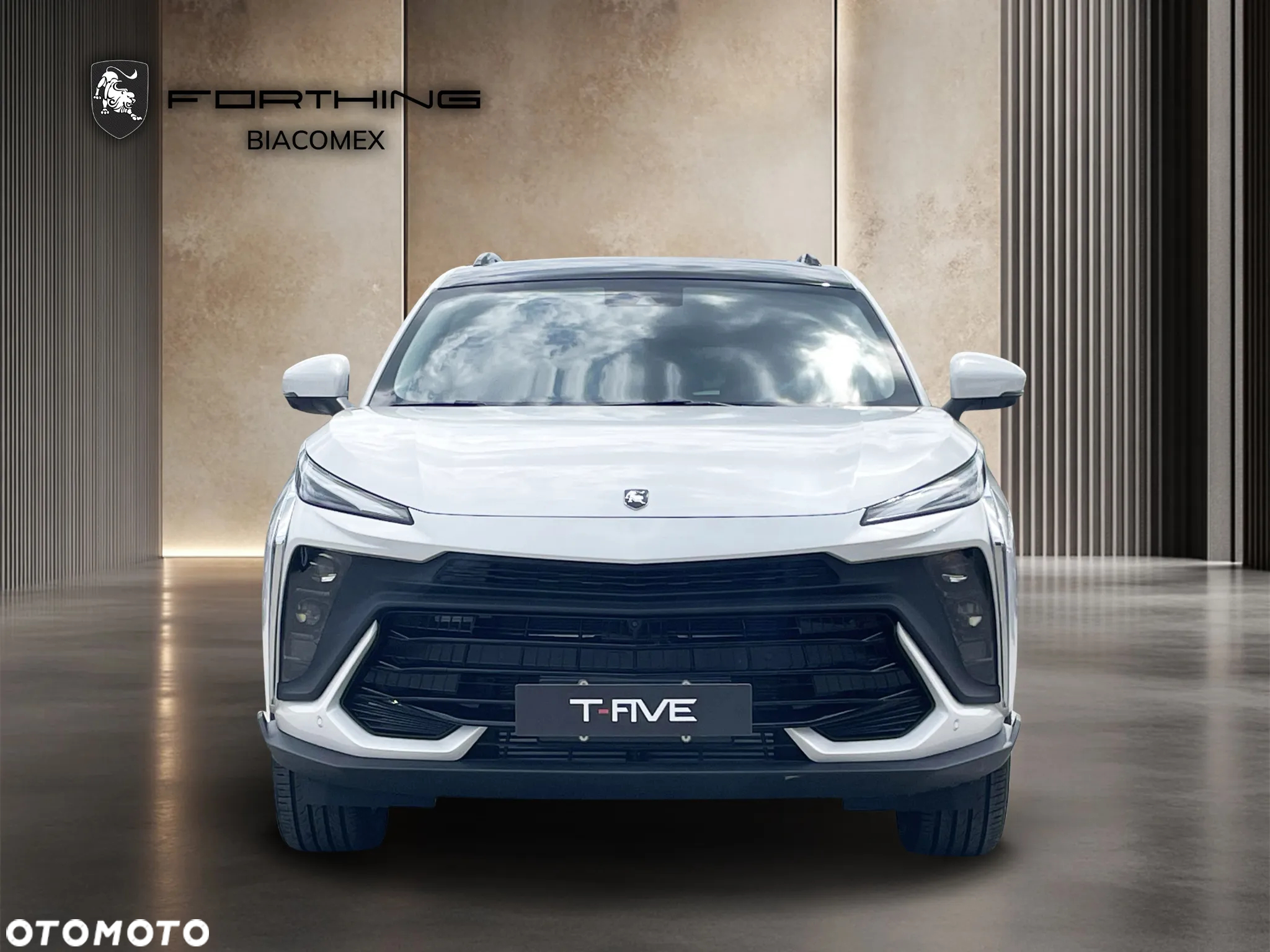 Forthing T5 EVO T-Five 1.5 DVVT GDI DCT - 8