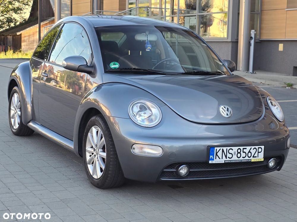 Volkswagen New Beetle - 18