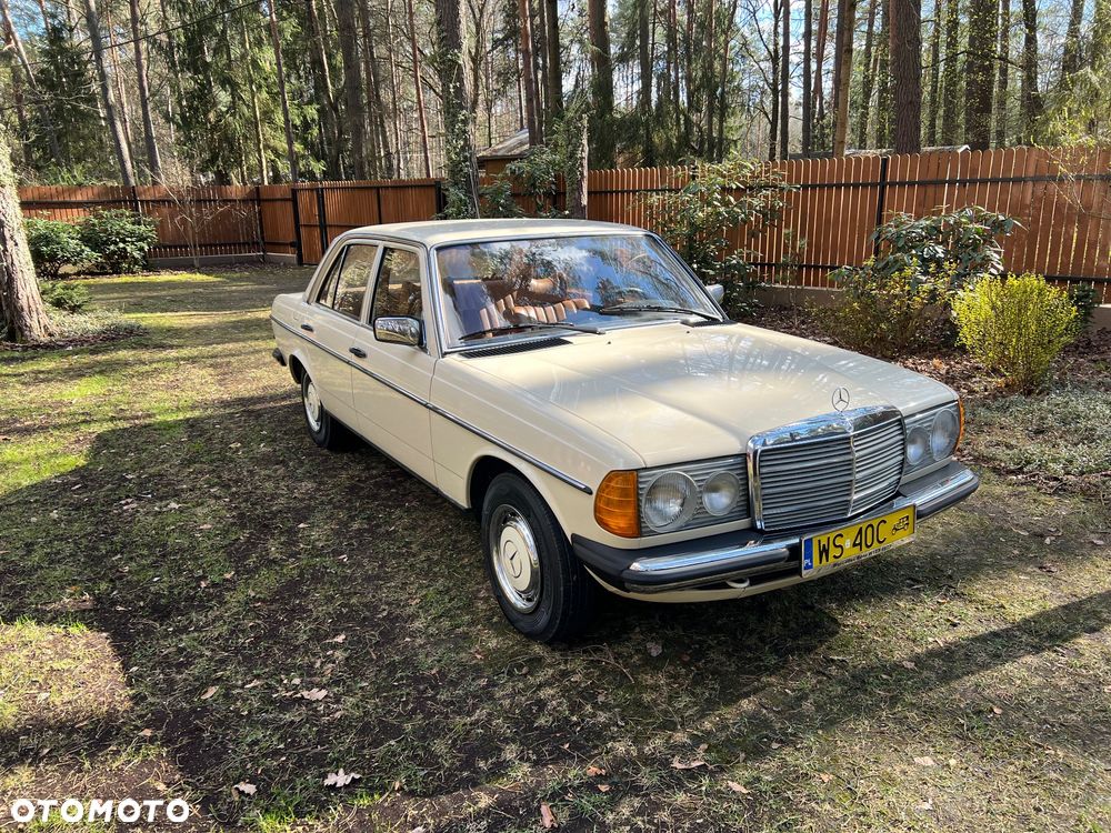 Mercedes-Benz W123 - 15