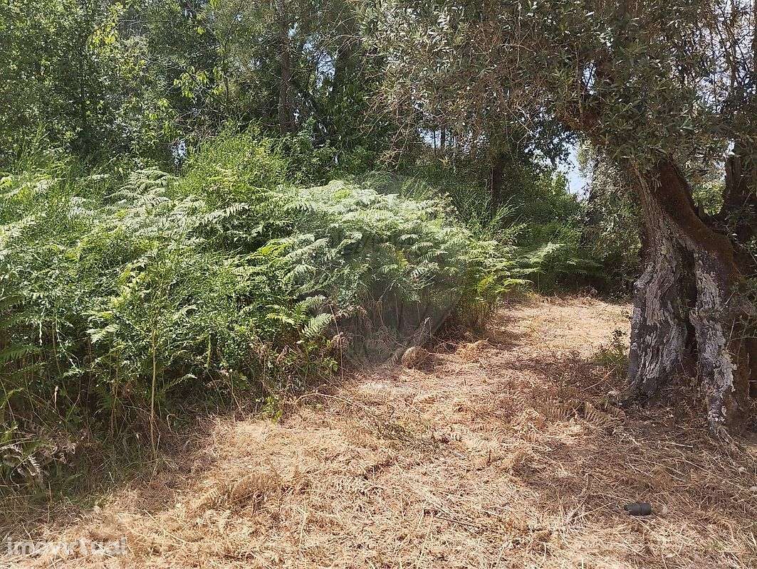 Terreno  para venda - Grande imagem: 5/6