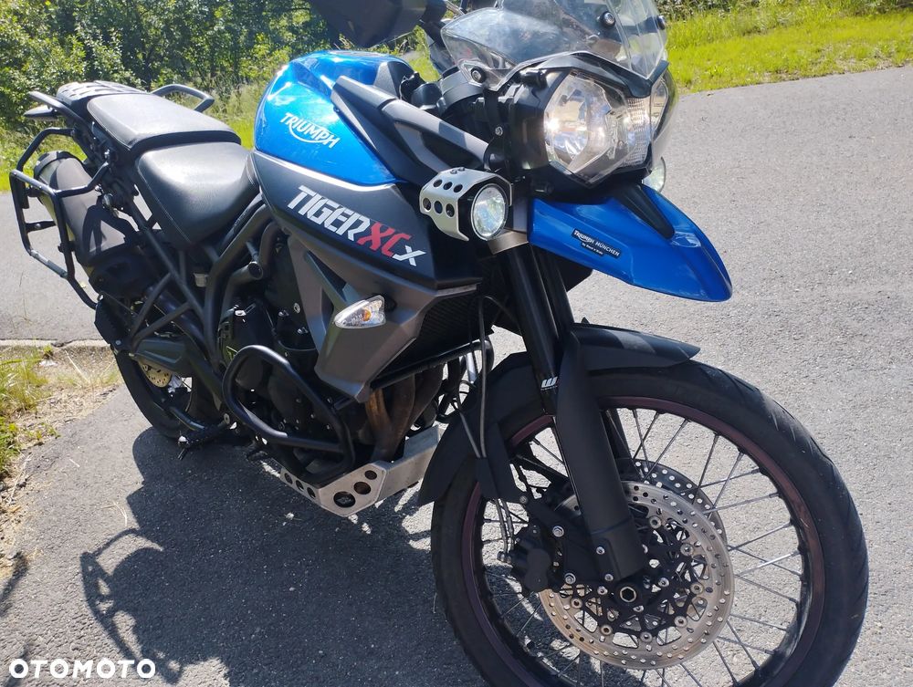 Triumph Tiger - 3