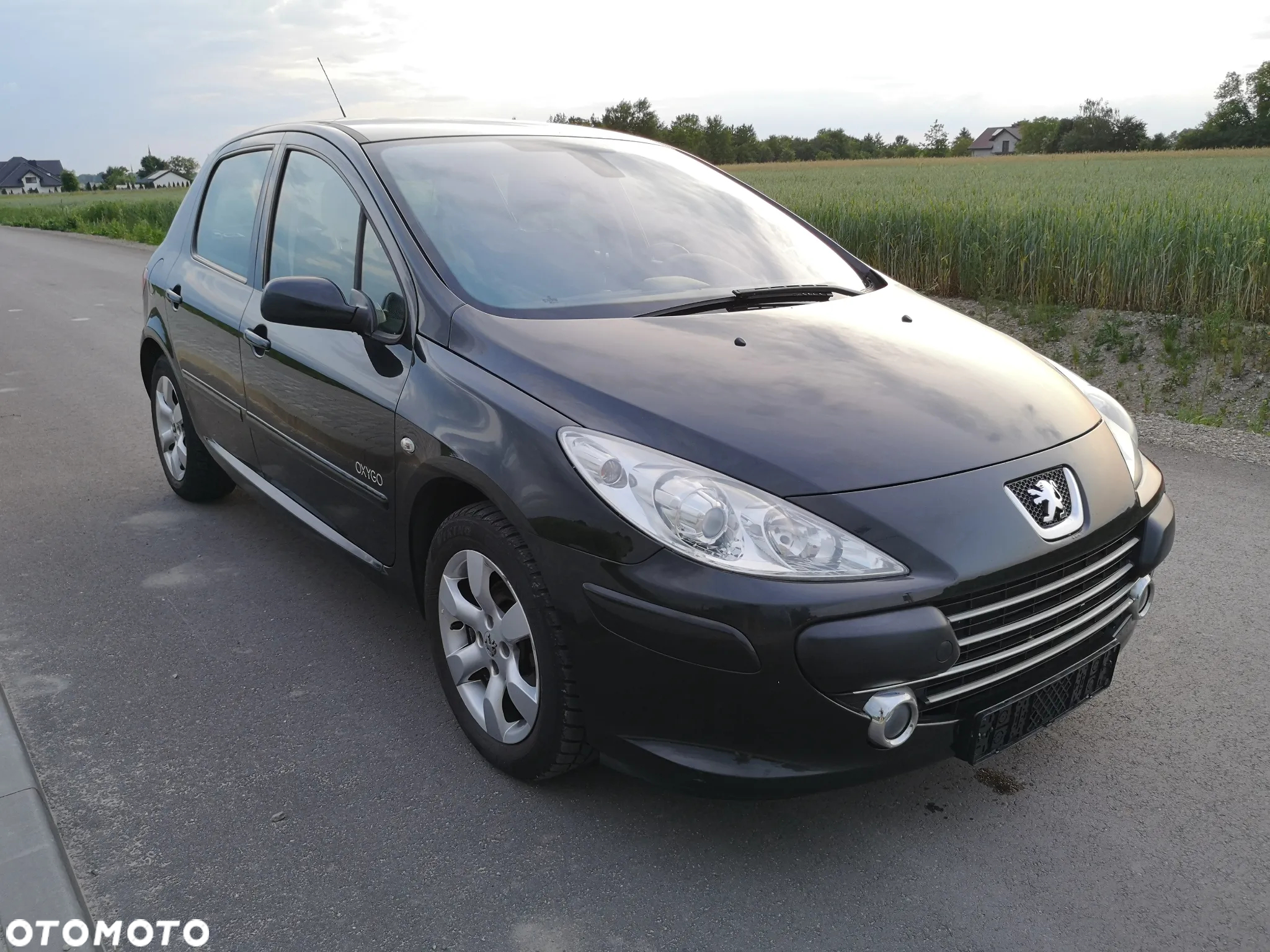 Peugeot 307 110 OXYGO - 18