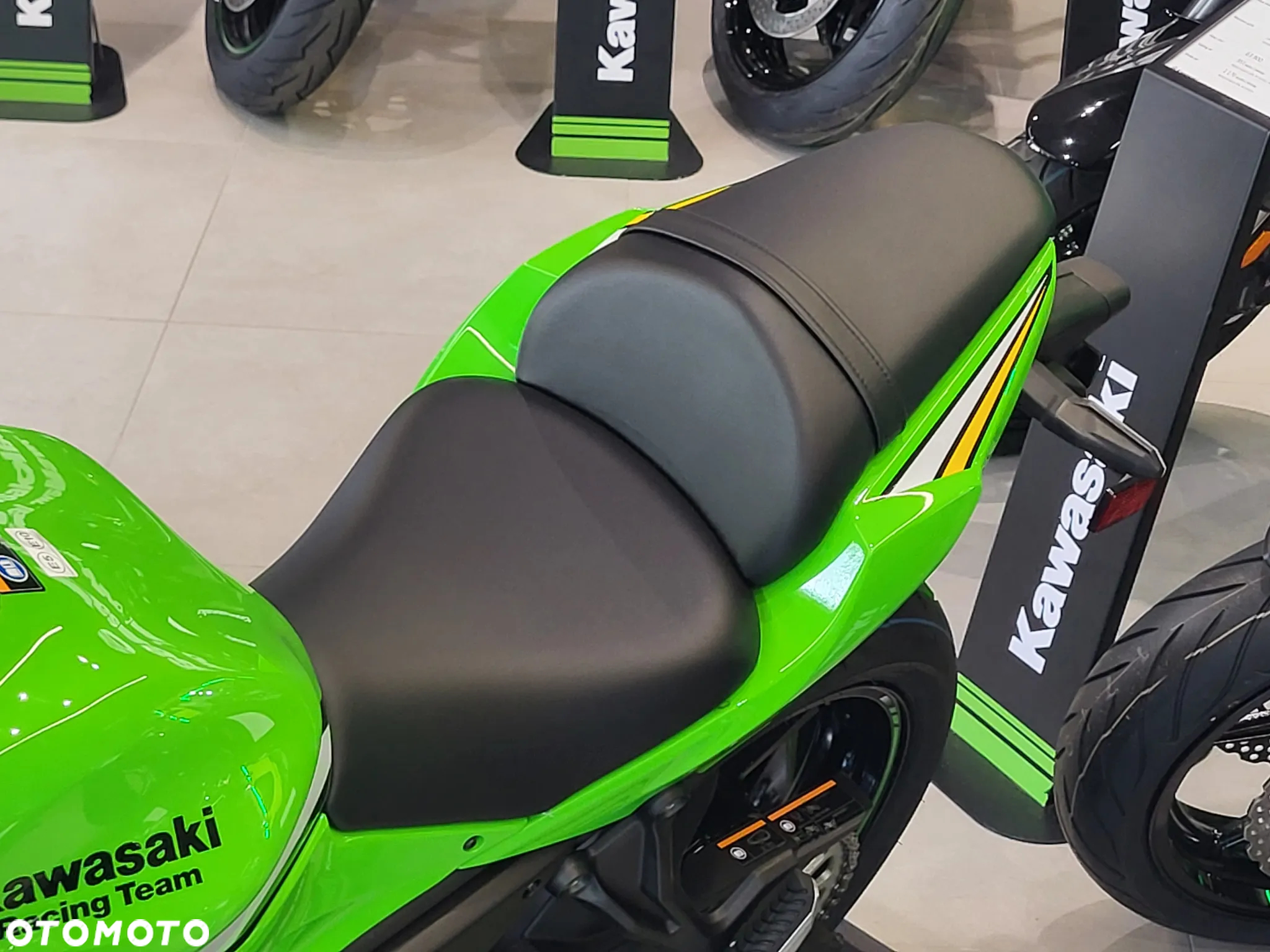 Kawasaki Ninja - 10