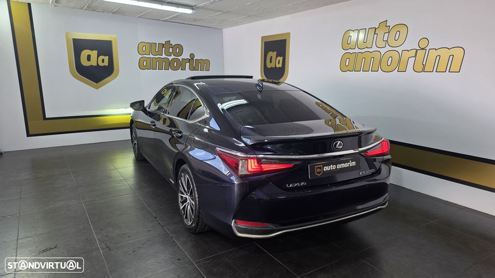 Lexus ES 300h Special Edition - 8