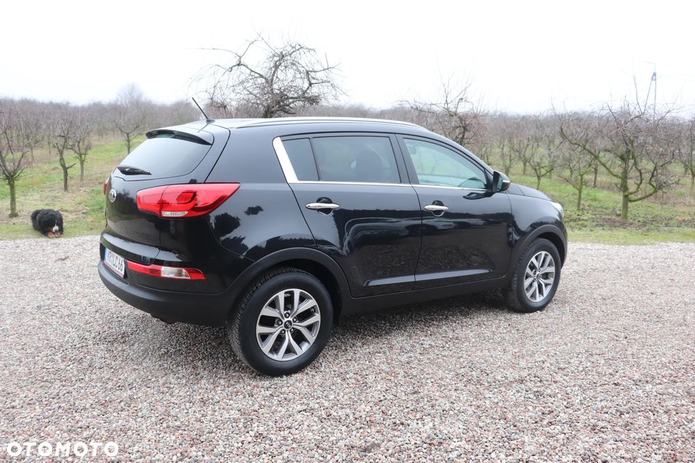 Kia Sportage 1.6 GDI Business Line L 2WD - 6