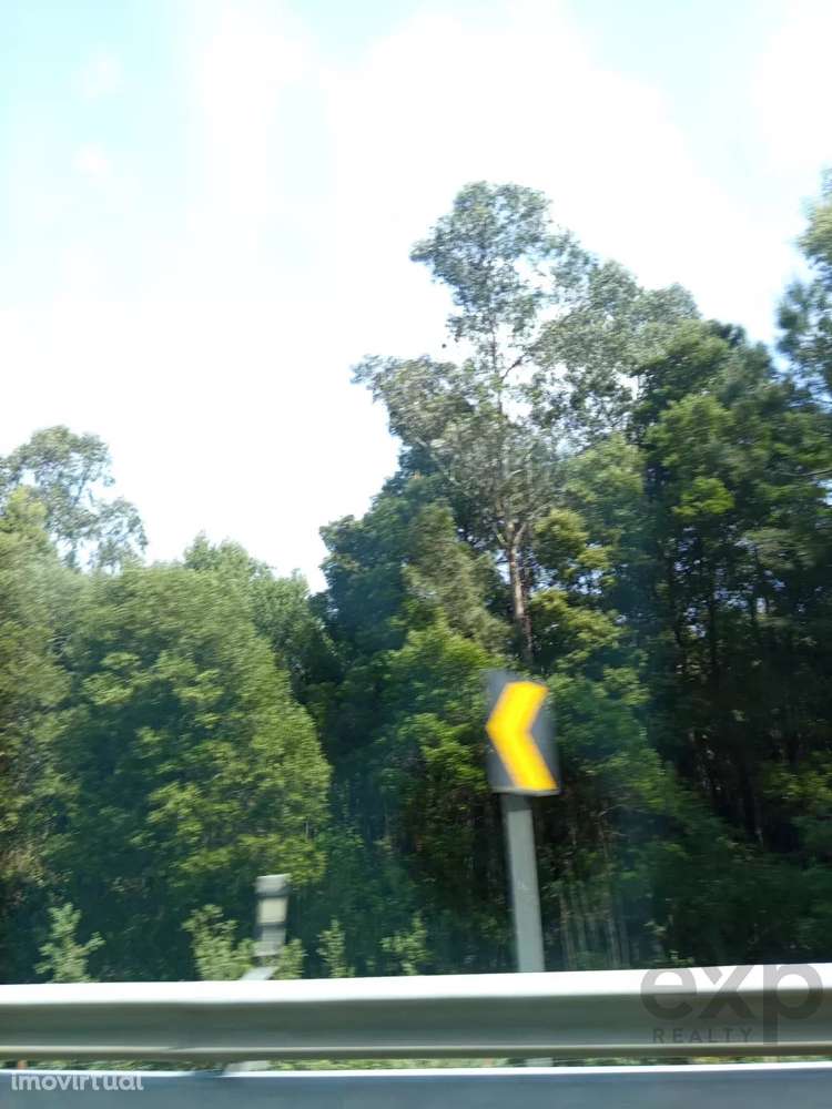 Terreno com 16 Hectares em Nelas - Grande imagem: 4/11