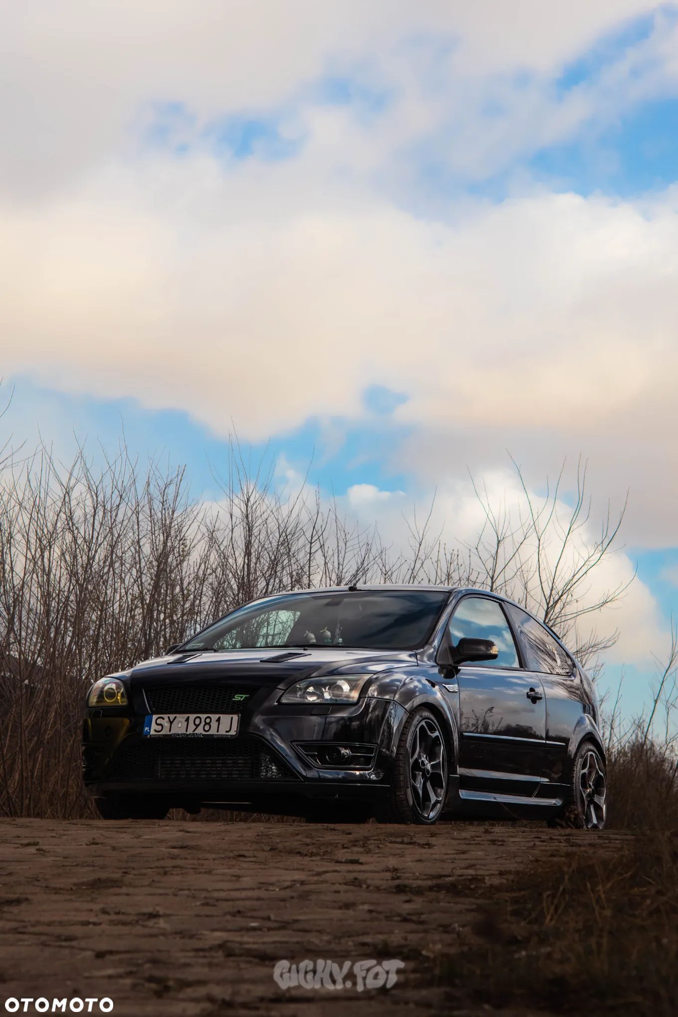Ford Focus ST - 1