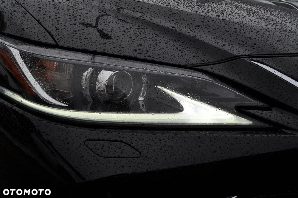 Lexus ES 300h Business Edition + - 8