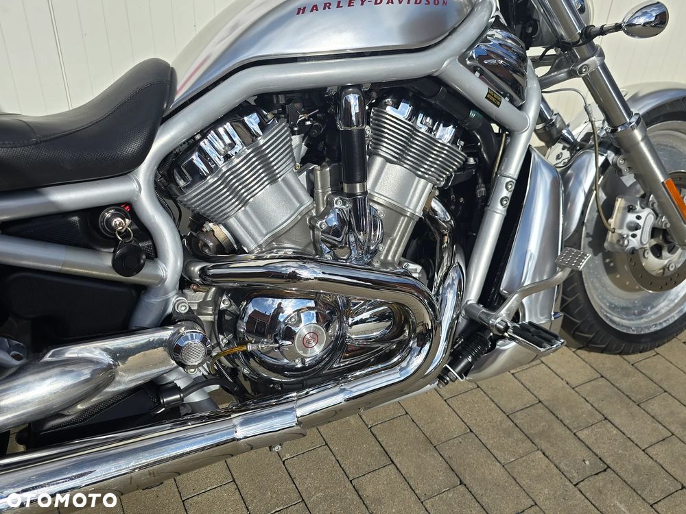 Harley-Davidson Softail V-Rod - 3