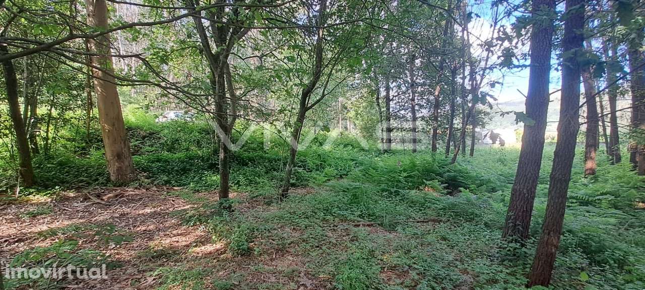 Terreno  Venda em Sande, Vilarinho, Barros e Gomide,Vila Verde - Grande imagem: 5/9