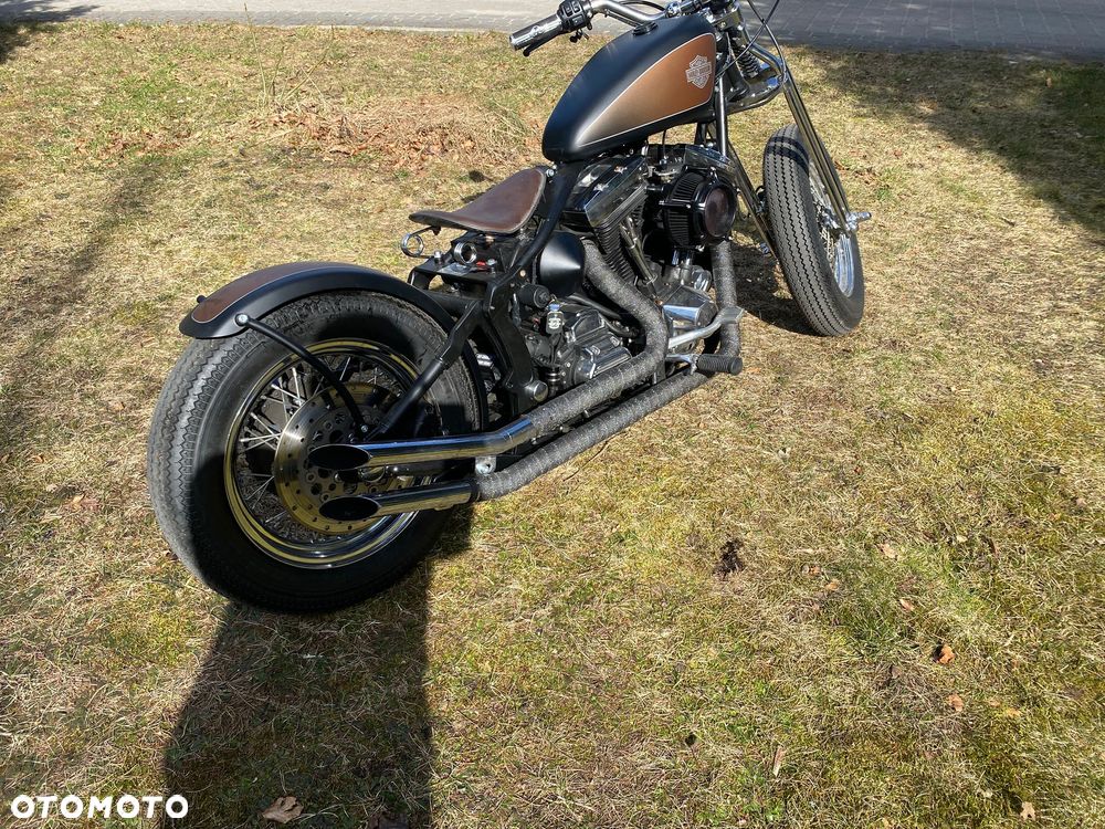 Harley-Davidson Inny - 13