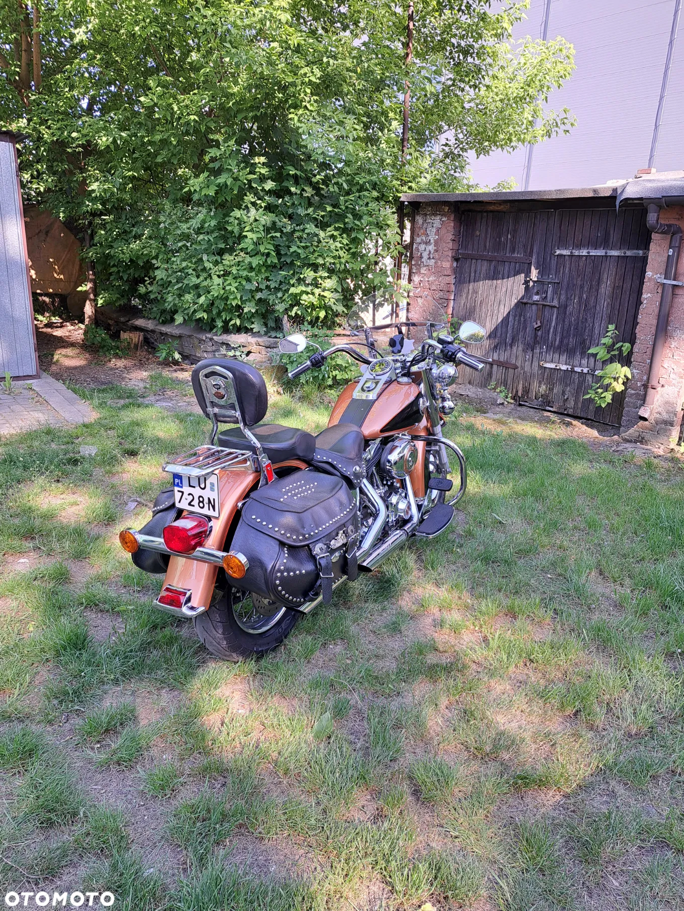 Harley-Davidson Softail - 2
