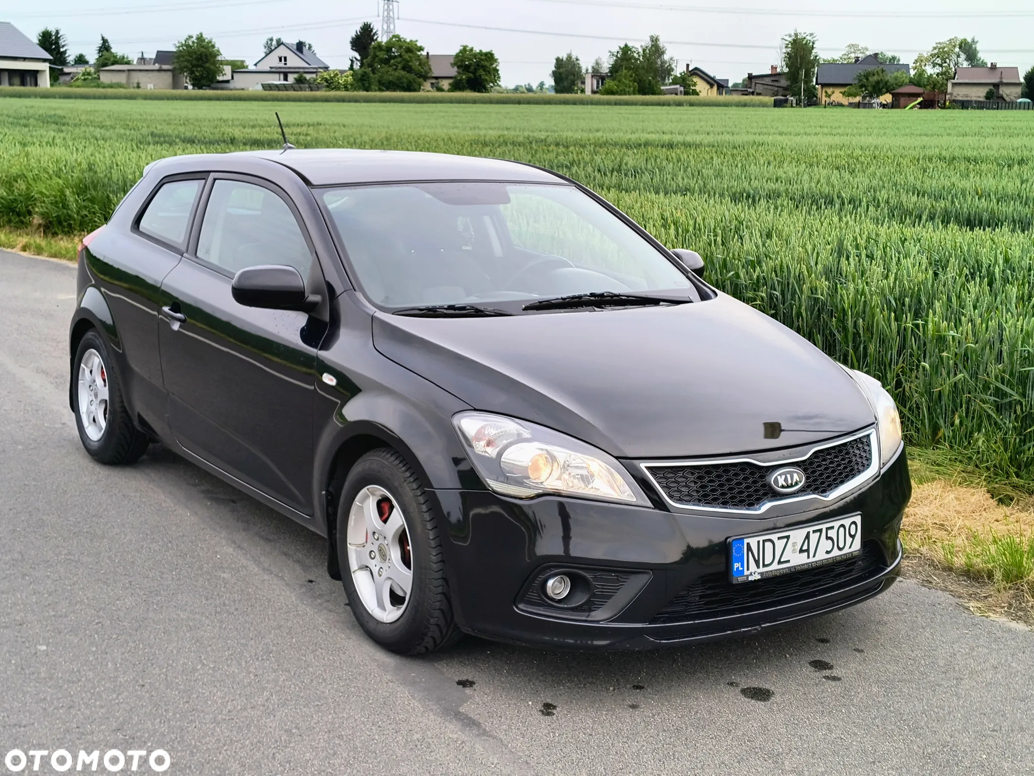 Kia ProCeed - 3