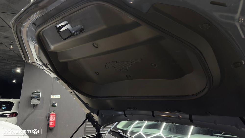 Ford Mustang Mach-E Standard - 36