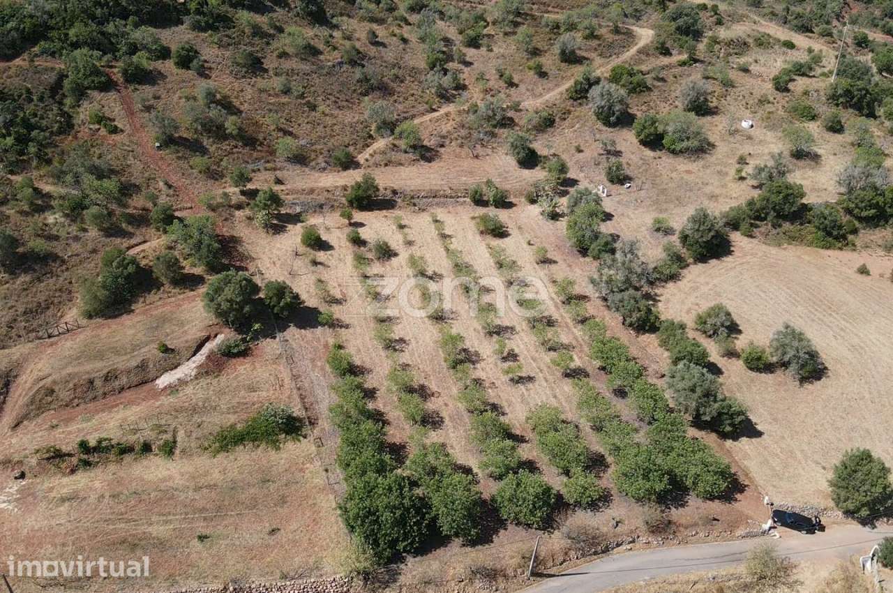 Terreno Rústico em Amorosa com poço de água e 27.160m2 de área