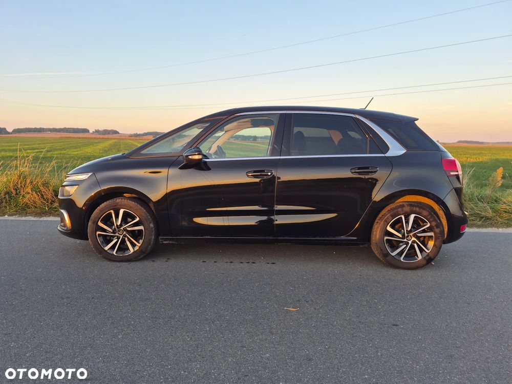 Citroën C4 SpaceTourer 1.5 BlueHDi Shine S&S EAT8 - 3
