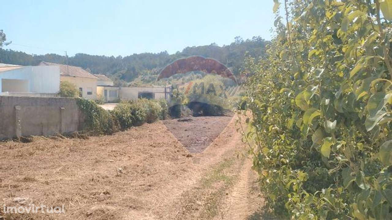 Terreno  para venda - Grande imagem: 5/5