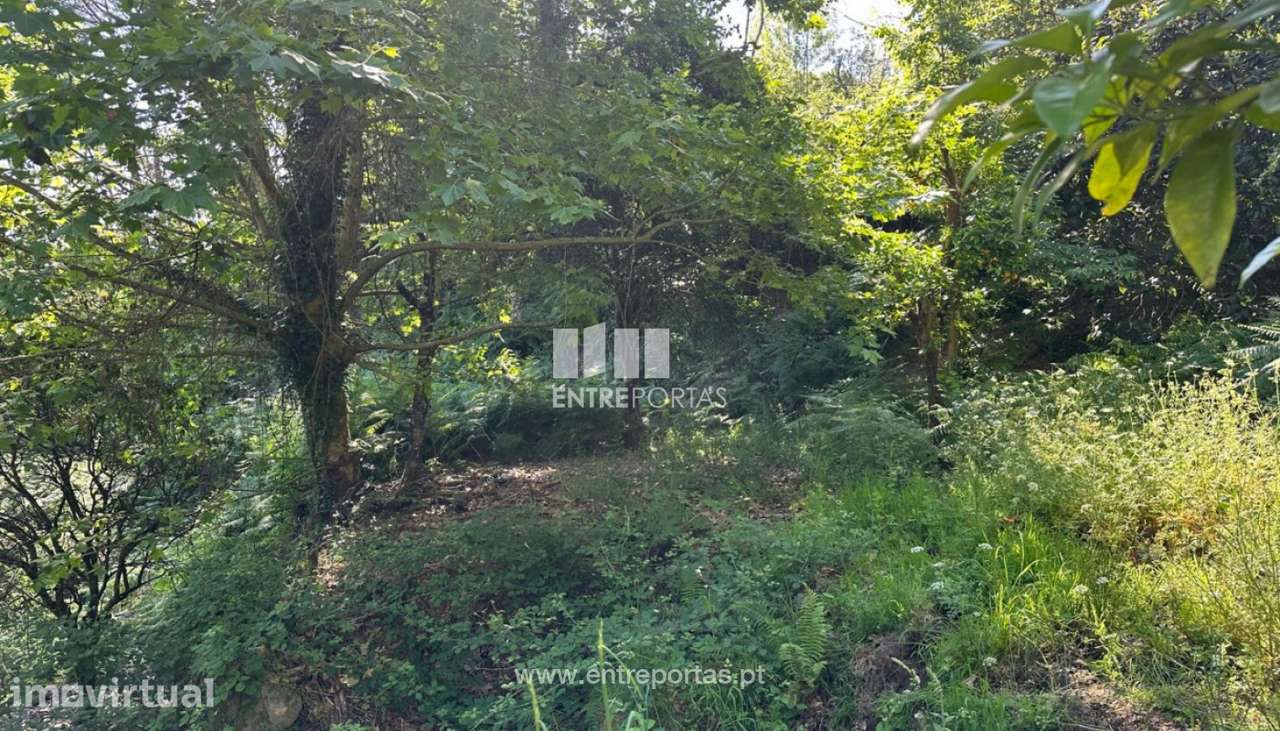 Venda Terreno, São Cristóvão de Nogueira, Cinfães - Grande imagem: 5/30