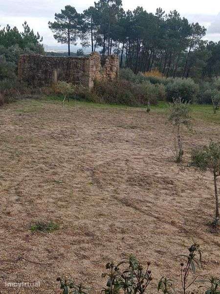 Vende-se Quintinha a Bom Preço - Grande imagem: 2/7
