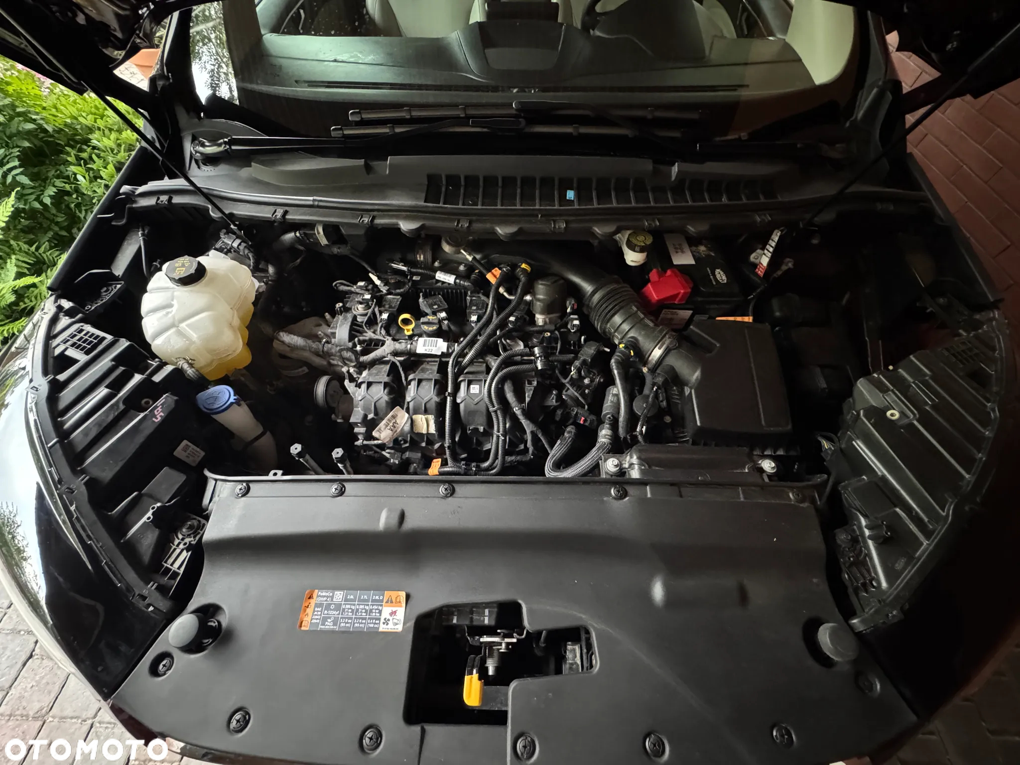 Ford Edge - 16