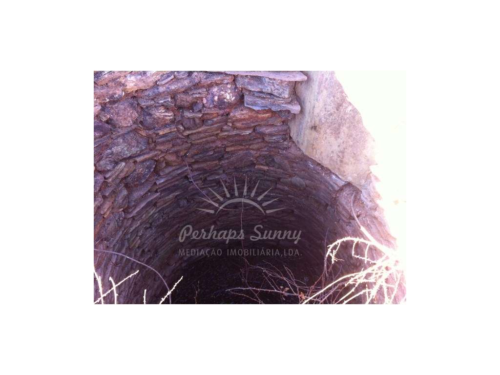 Herdade - Ribeira da Seisseira (Colos / Odemira) - Grande imagem: 3/23