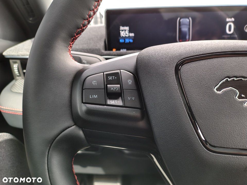 Ford Mustang Mach-E - 13