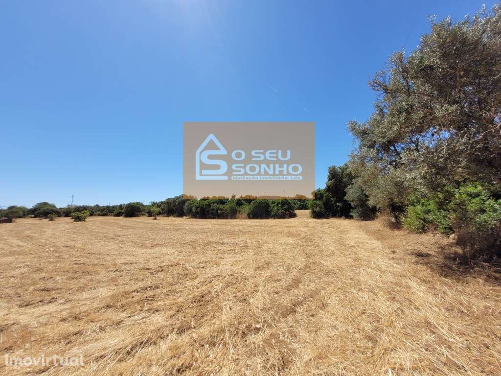 Terreno Rústico Plano - 8.840 m² - Grande imagem: 5/12