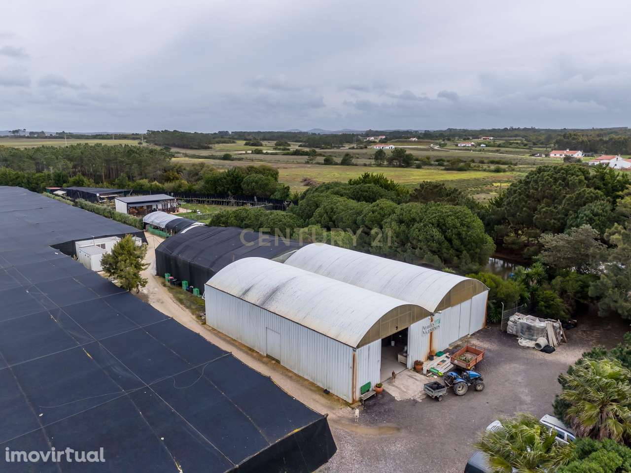 Negócio de Flores - Grande imagem: 4/24