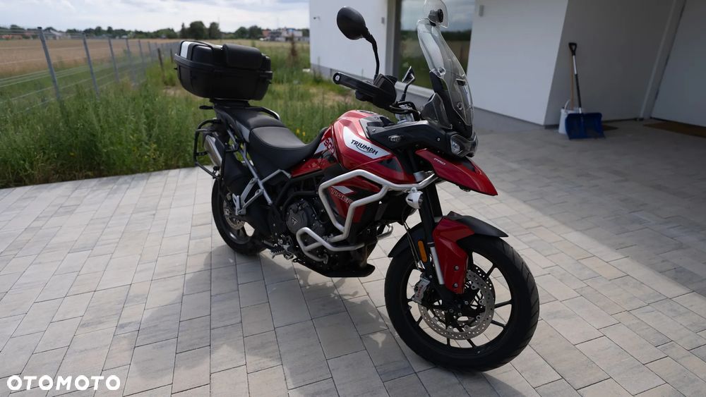 Triumph Tiger - 1
