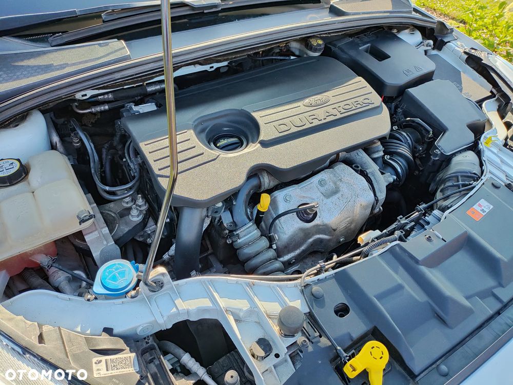 Ford Focus - 25