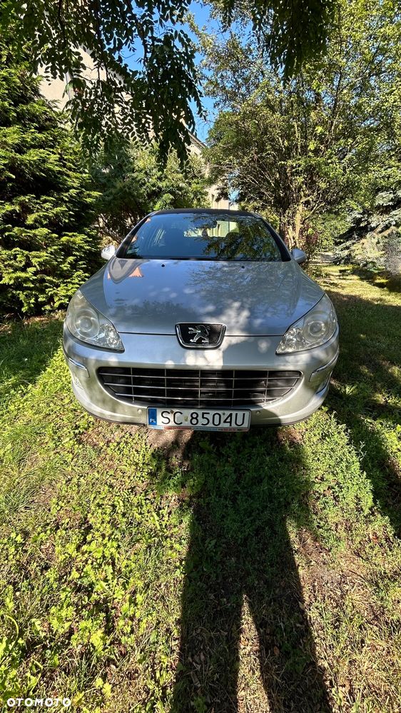 Peugeot 407 - 1