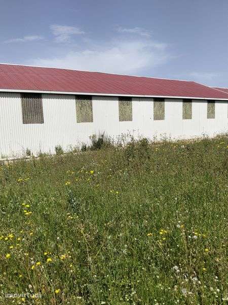 Armazém arrendamento - Grande imagem: 4/8