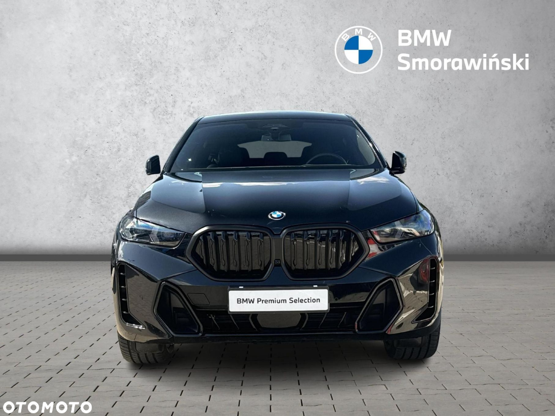 BMW X6 - 8
