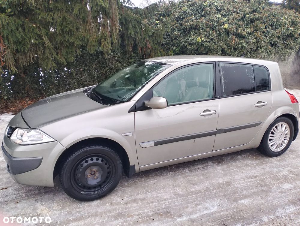 Renault Megane 1.6 16V Confort Authentique - 10