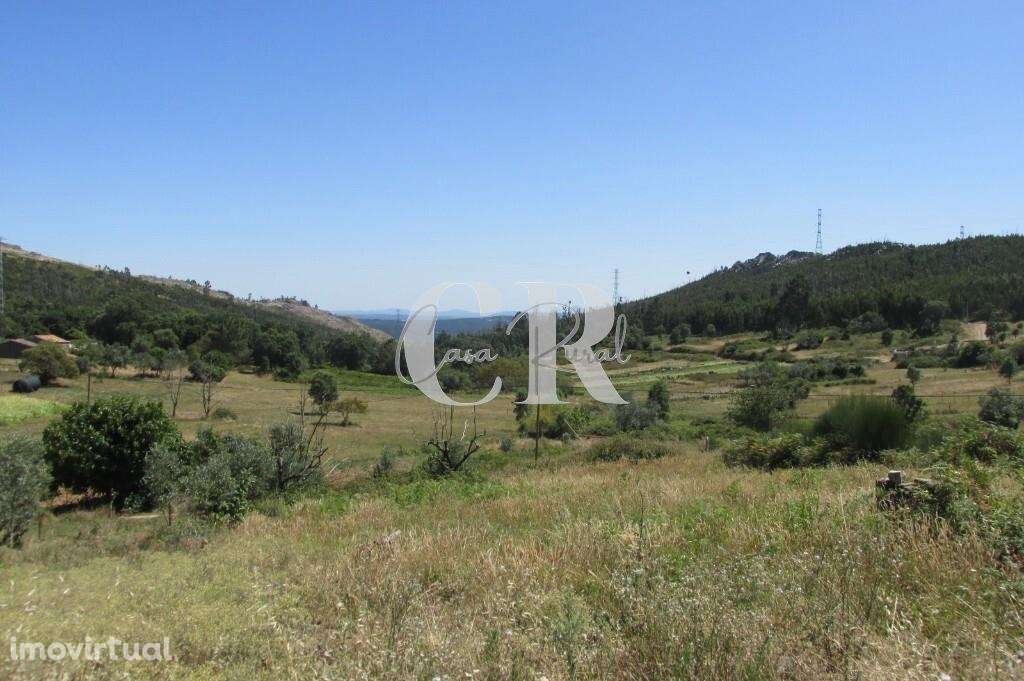 Casa do Xisto em penela com 7 Quartas e com vistas Bonitas - Grande imagem: 3/48