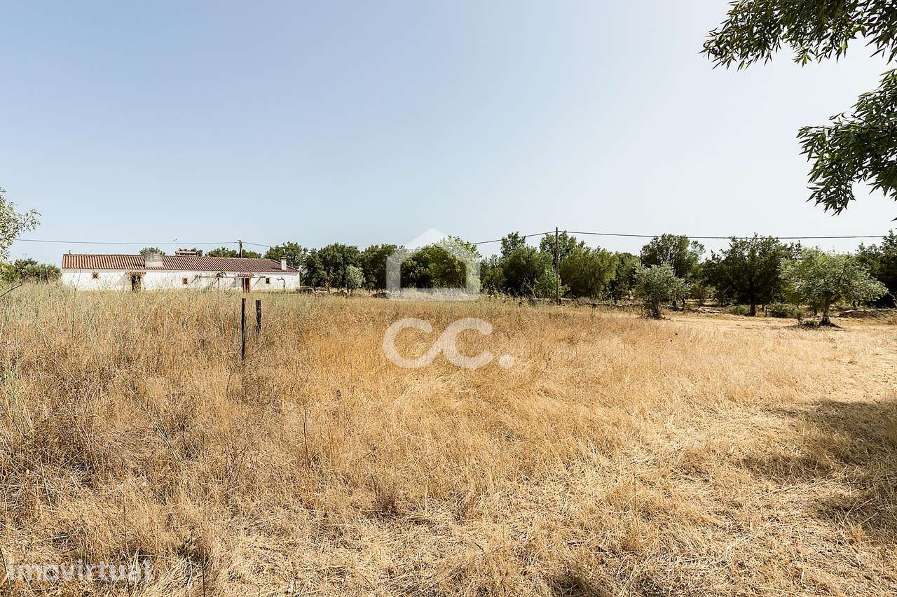 Quinta de 1,4 ha c/ 2 Moradias T1 | São Bento do Ameixial, Estremoz - Grande imagem: 5/60