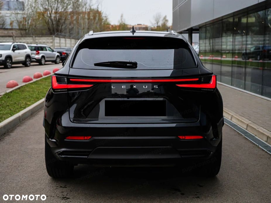 Lexus NX - 6