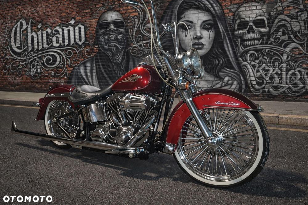 Harley-Davidson Softail Heritage Classic - 15
