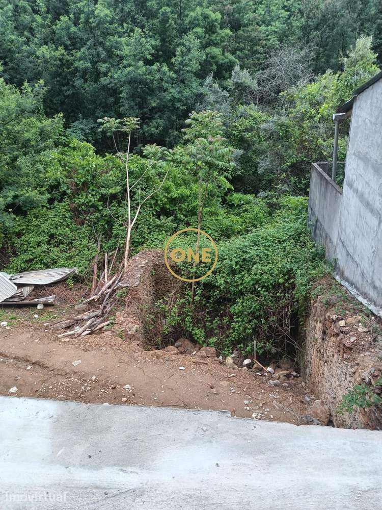 Terreno com Ruína 3380m2 junto Circular Externa - Grande imagem: 3/8