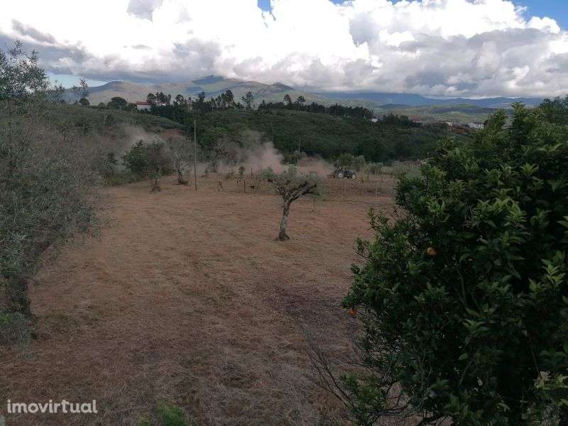 Quinta em Galizes - Grande imagem: 3/8