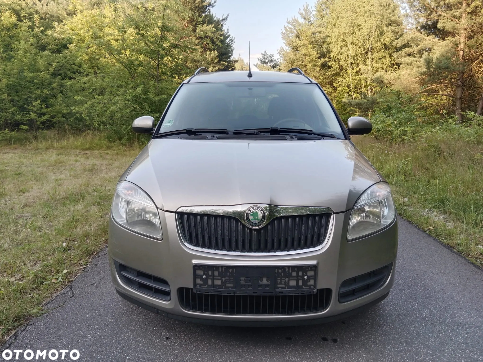 Skoda Roomster - 2