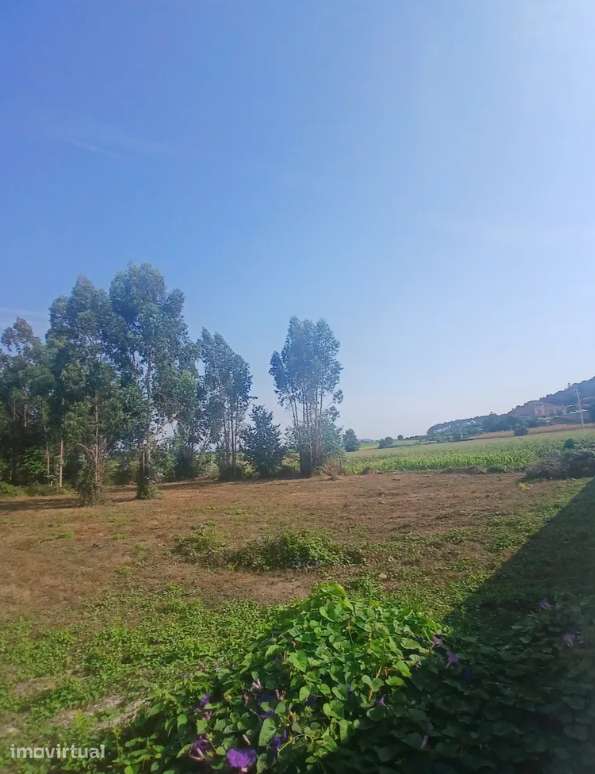 Terreno Urbanizável, 1 906,01 m², Silveiros - Grande imagem: 4/6