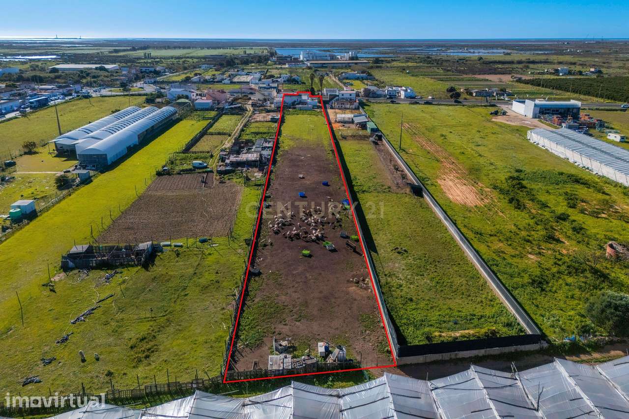 Moradia para reabilitar | Terreno 4759m2 | Faro | Algarve - Grande imagem: 3/40