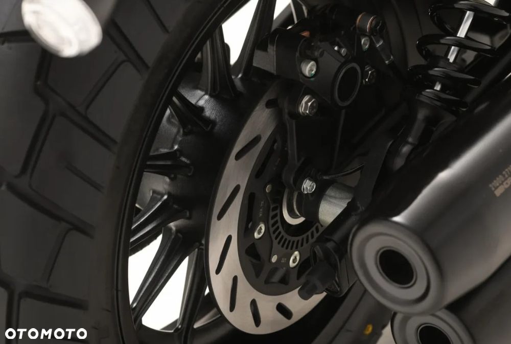 Benda Chinchilla 500 - 13