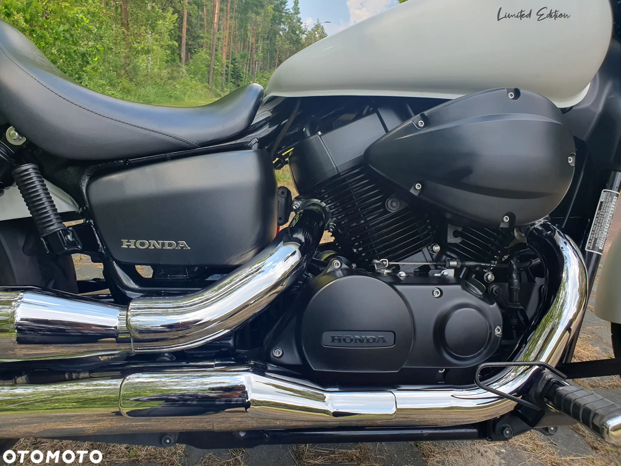 Honda Shadow - 13