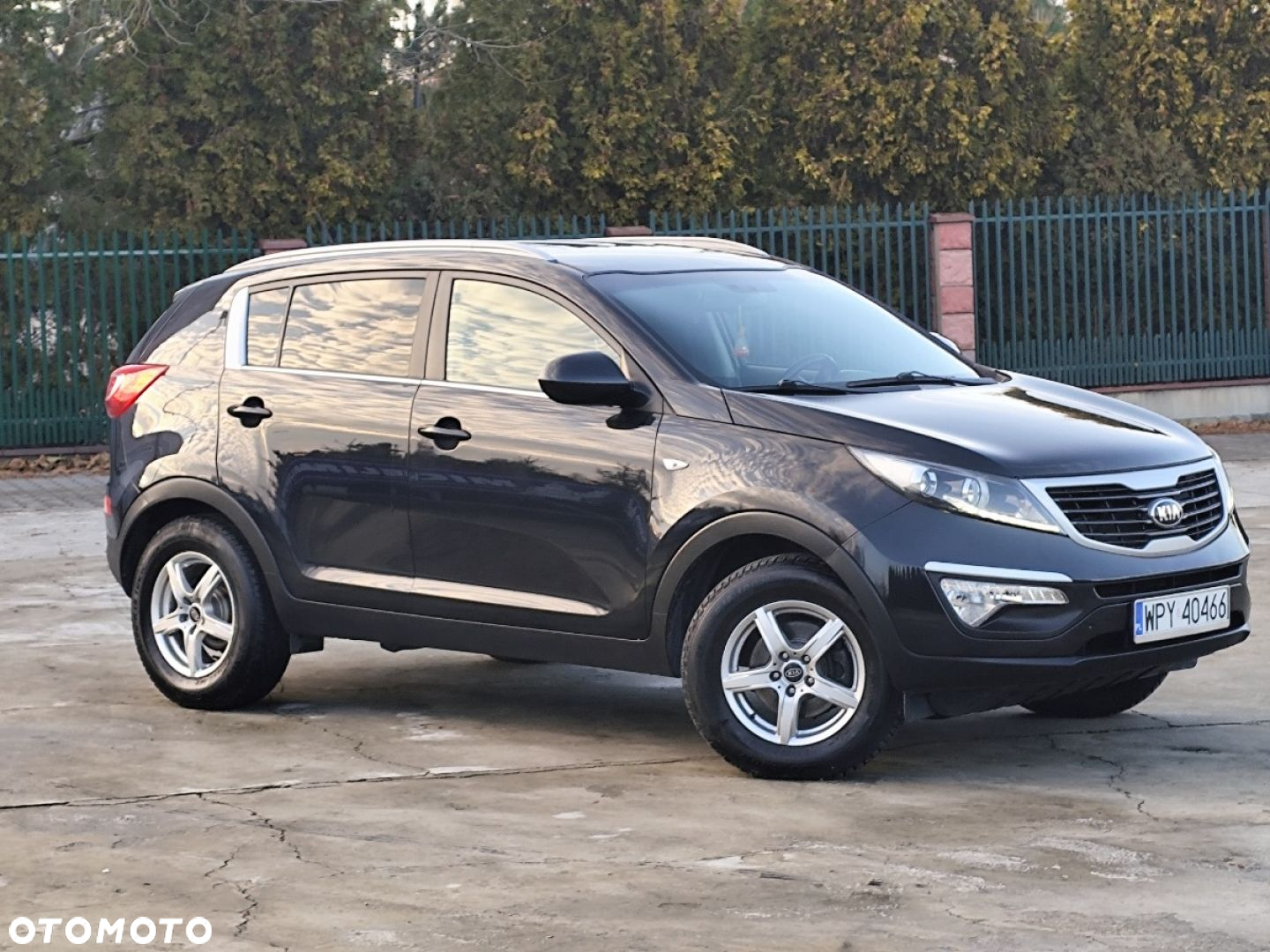 Kia Sportage - 29