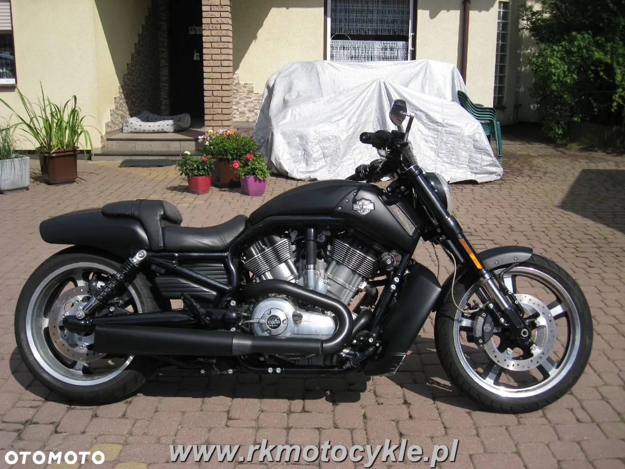 Harley-Davidson V-Rod Muscle - 2